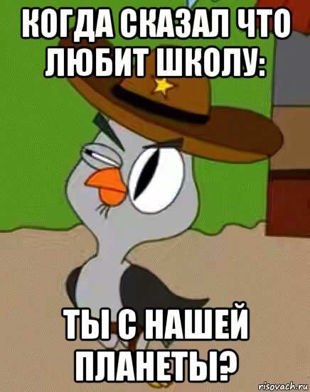 когда сказал что любит школу: ты с нашей планеты?, Мем    Упоротая сова