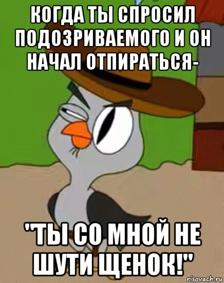 когда ты спросил подозриваемого и он начал отпираться- "ты со мной не шути щенок!", Мем    Упоротая сова