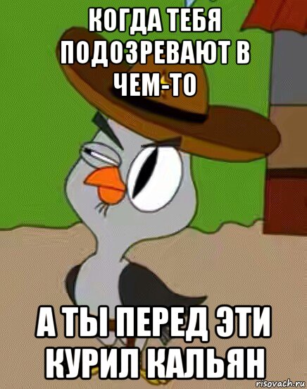 когда тебя подозревают в чем-то а ты перед эти курил кальян, Мем    Упоротая сова