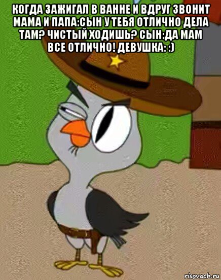 когда зажигал в ванне и вдруг звонит мама и папа:сын у тебя отлично дела там? чистый ходишь? сын:да мам все отлично! девушка: :) , Мем    Упоротая сова