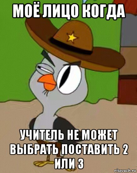 моё лицо когда учитель не может выбрать поставить 2 или 3, Мем    Упоротая сова