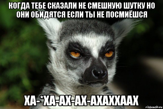 когда тебе сказали не смешную шутку но они обидятся если ты не посмиёшся ха-*ха-ах-ах-ахаххаах, Мем   Я збагоен