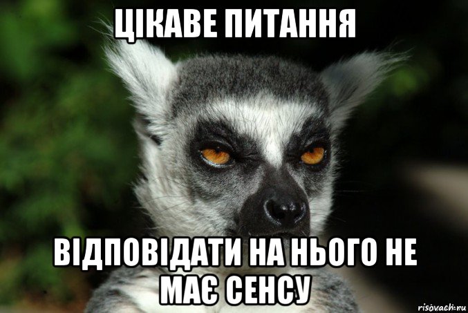 цікаве питання відповідати на нього не має сенсу, Мем   Я збагоен