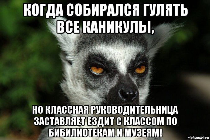 когда собирался гулять все каникулы, но классная руководительница заставляет ездит с классом по бибилиотекам и музеям!, Мем   Я збагоен