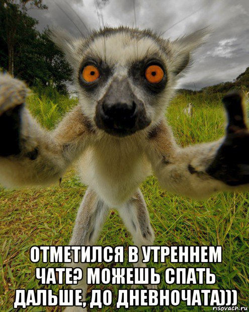  отметился в утреннем чате? можешь спать дальше, до дневночата))), Мем Узбагойся ты