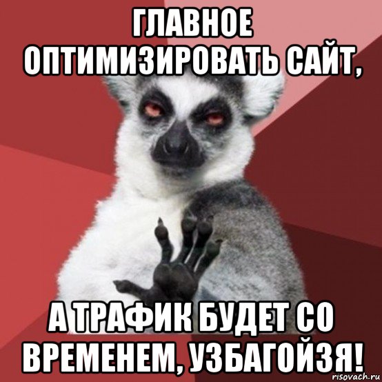 главное оптимизировать сайт, а трафик будет со временем, узбагойзя!, Мем Узбагойзя