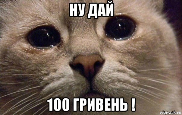 ну дай 100 гривень !, Мем   В мире грустит один котик