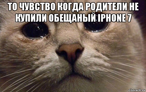 то чувство когда родители не купили обещаный iphone 7 , Мем   В мире грустит один котик