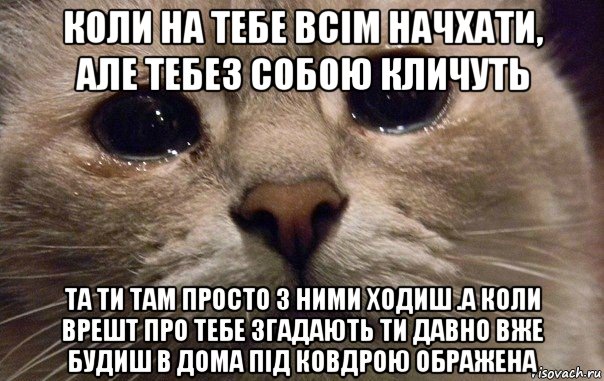 коли на тебе всім начхати, але тебез собою кличуть та ти там просто з ними ходиш .а коли врешт про тебе згадають ти давно вже будиш в дома під ковдрою ображена, Мем   В мире грустит один котик