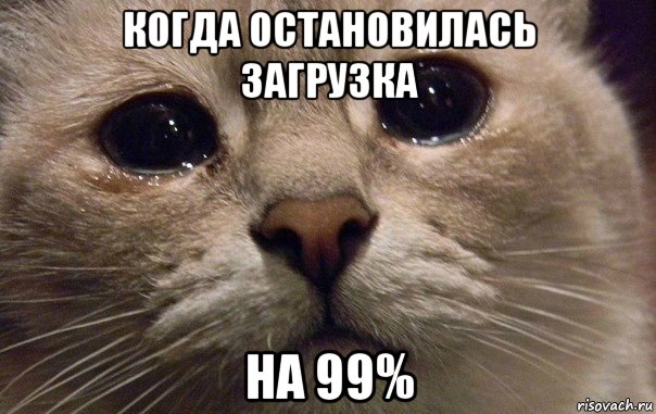 когда остановилась загрузка на 99%, Мем   В мире грустит один котик