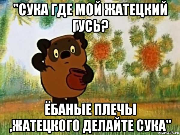 "сука где мой жатецкий гусь? ёбаные плечы ,жатецкого делайте сука", Мем Винни пух чешет затылок