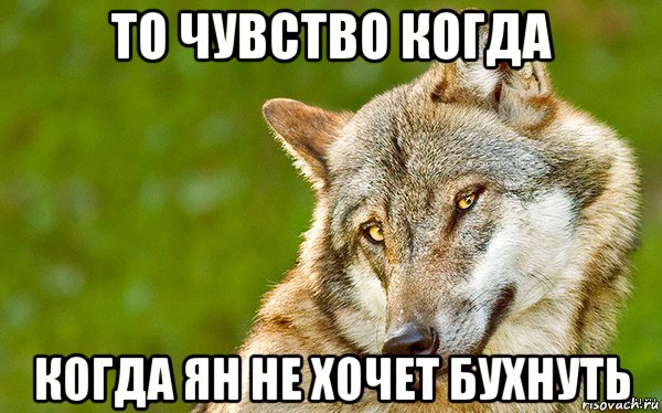 то чувство когда когда ян не хочет бухнуть, Мем   Volf