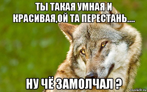 ты такая умная и красивая,ой та перестань.... ну чё замолчал ?, Мем   Volf