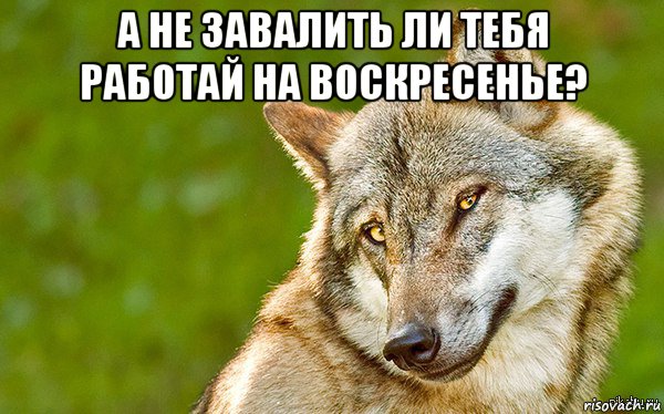 а не завалить ли тебя работай на воскресенье? , Мем   Volf