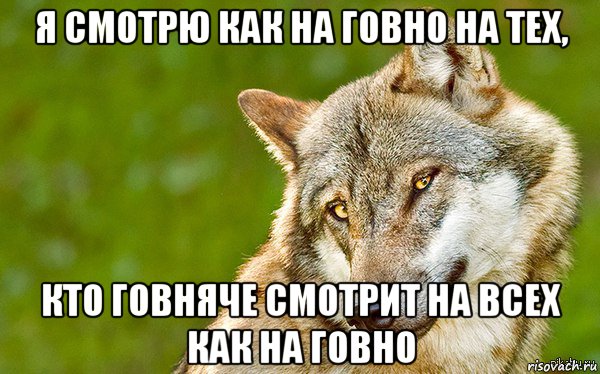 я смотрю как на говно на тех, кто говняче смотрит на всех как на говно, Мем   Volf