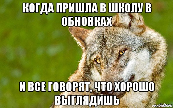 когда пришла в школу в обновках и все говорят, что хорошо выглядишь, Мем   Volf