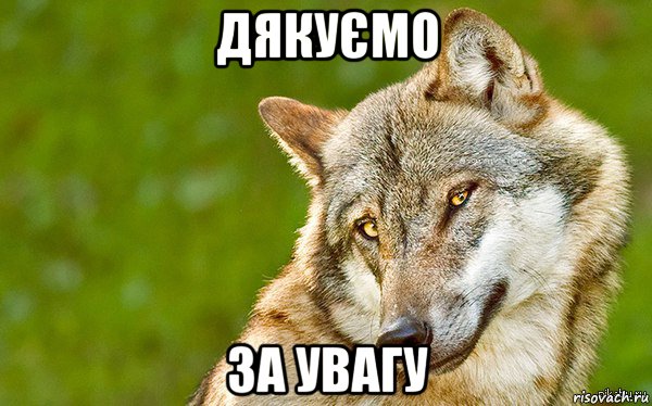 дякуємо за увагу, Мем   Volf