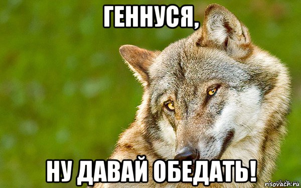 геннуся, ну давай обедать!, Мем   Volf