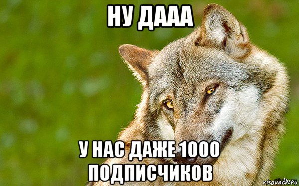 ну дааа у нас даже 1000 подписчиков, Мем   Volf