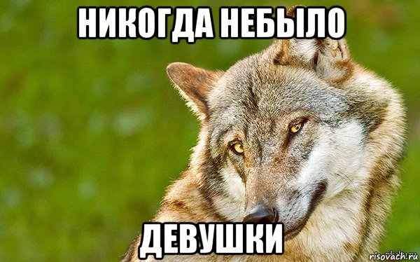 никогда небыло девушки, Мем   Volf