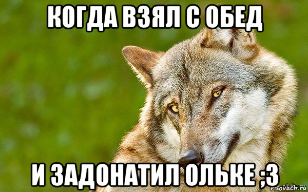 когда взял с обед и задонатил ольке ;3, Мем   Volf