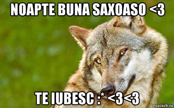 noapte buna saxoaso <3 te iubesc :* <3<3, Мем   Volf