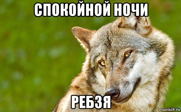 спокойной ночи ребзя, Мем   Volf