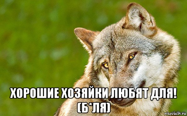  хорошие хозяйки любят для! (б*ля), Мем   Volf