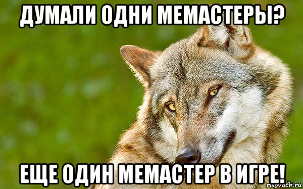 думали одни мемастеры? еще один мемастер в игре!, Мем   Volf