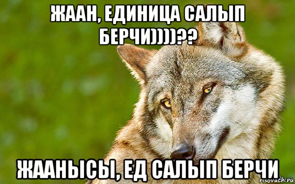 жаан, единица салып берчи))))?? жаанысы, ед салып берчи, Мем   Volf