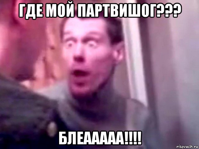 где мой партвишог??? блеааааа!!!!, Мем Запили