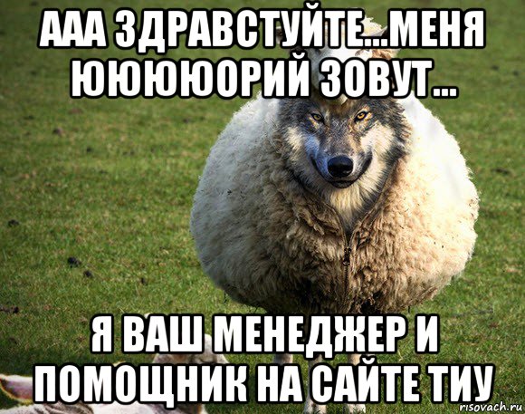 ааа здравстуйте...меня ююююорий зовут... я ваш менеджер и помощник на сайте тиу, Мем Злая Овца