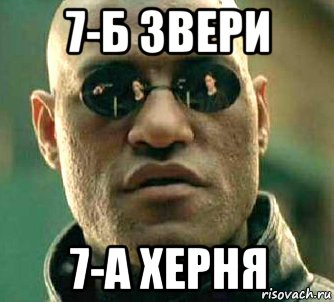 7-б звери 7-а херня