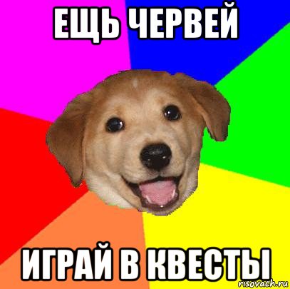 ещь червей играй в квесты, Мем Advice Dog