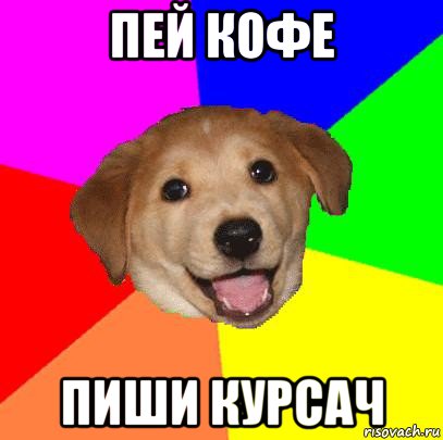 пей кофе пиши курсач, Мем Advice Dog