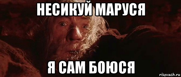 несикуй маруся я сам боюся, Мем бегите глупцы