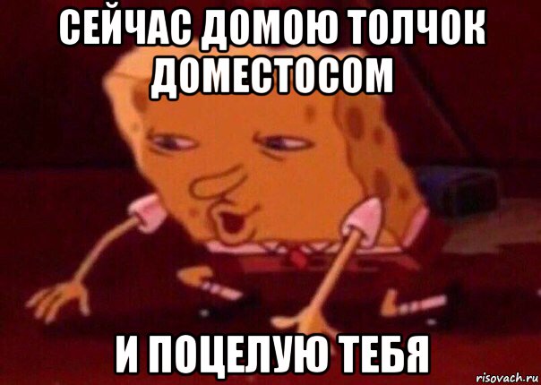 сейчас домою толчок доместосом и поцелую тебя, Мем    Bettingmemes