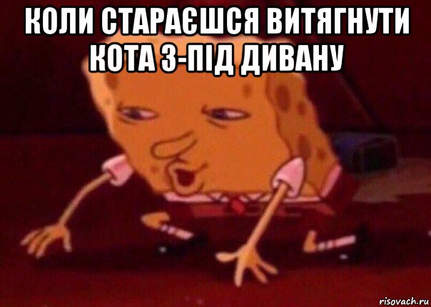 коли стараєшся витягнути кота з-під дивану , Мем    Bettingmemes