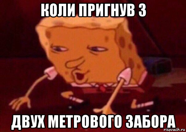 коли пригнув з двух метрового забора, Мем    Bettingmemes