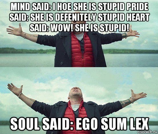 mind said: i hoe she is stupid pride said: she is defenitely stupid heart said: wow! she is stupid! soul said: ego sum lex, Мем Безлимитище