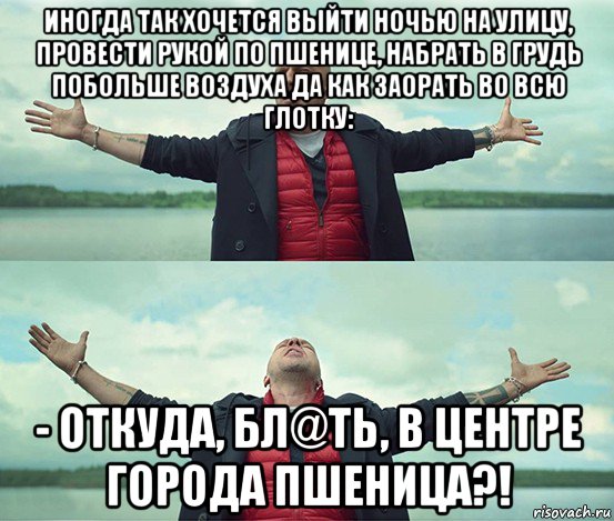 иногда так хочется выйти ночью на улицу, провести рукой по пшенице, набрать в грудь побольше воздуха да как заорать во всю глотку: - откуда, бл@ть, в центре города пшеница?!, Мем Безлимитище