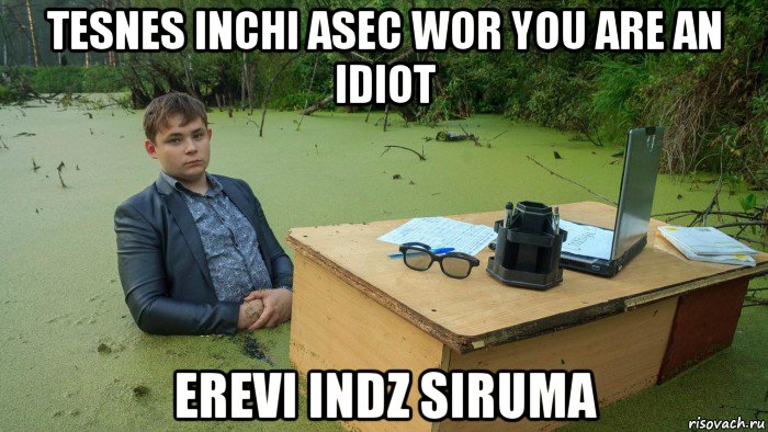 tesnes inchi asec wor you are an idiot erevi indz siruma, Мем  Парень сидит в болоте