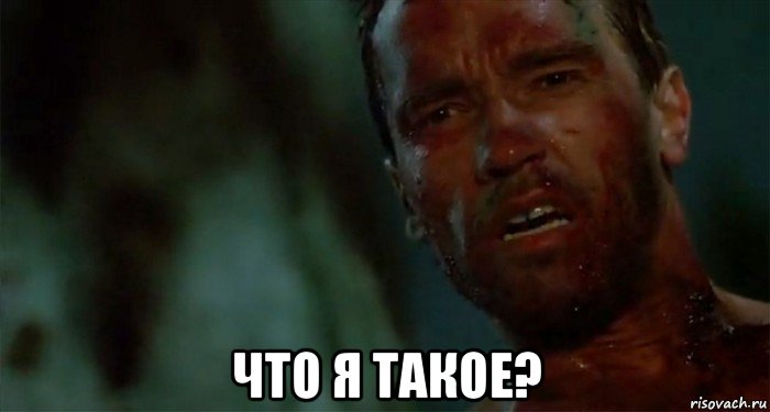  что я такое?, Мем Что ты такое