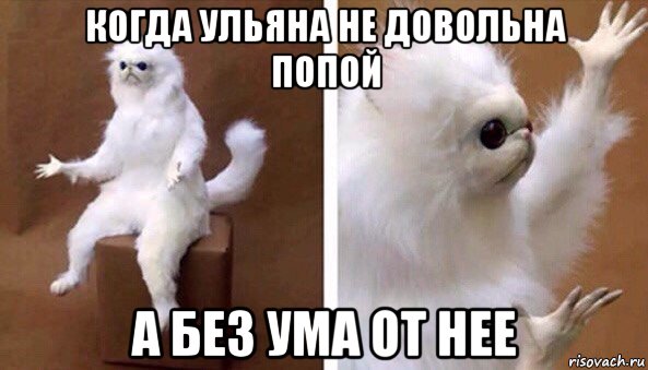 когда ульяна не довольна попой а без ума от нее, Мем Чучело кота