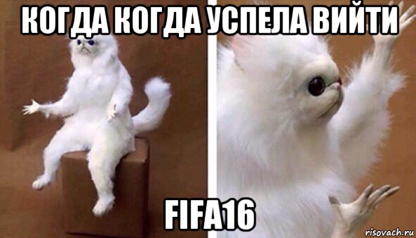 когда когда успела вийти fifa16, Мем Чучело кота