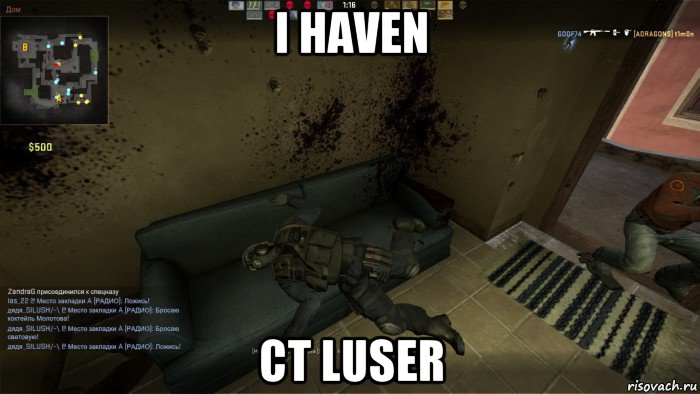 i haven ct luser