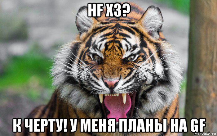 hf x3? к черту! у меня планы на gf