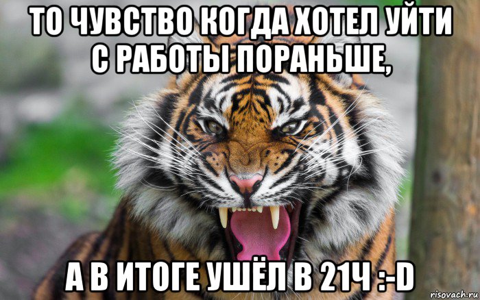 то чувство когда хотел уйти с работы пораньше, а в итоге ушёл в 21ч :-d, Мем ДЕРЗКИЙ ТИГР