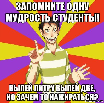 запомните одну мудрость студенты! выпей литру выпей две, но зачем то нажираться?, Мем Дон Кихот Соционика