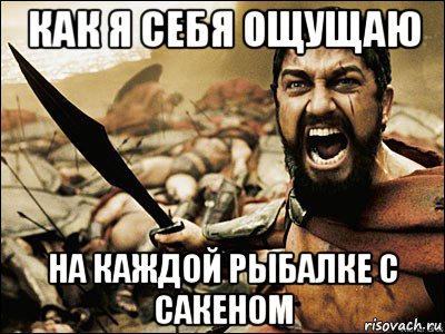 как я себя ощущаю на каждой рыбалке с сакеном, Мем Это Спарта